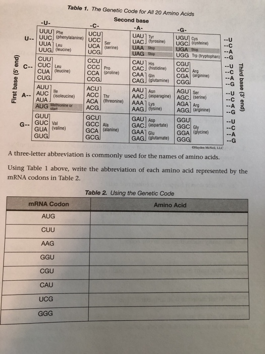 Solved Table 1. The Genetic Code for All 20 Amino Acids | Chegg.com