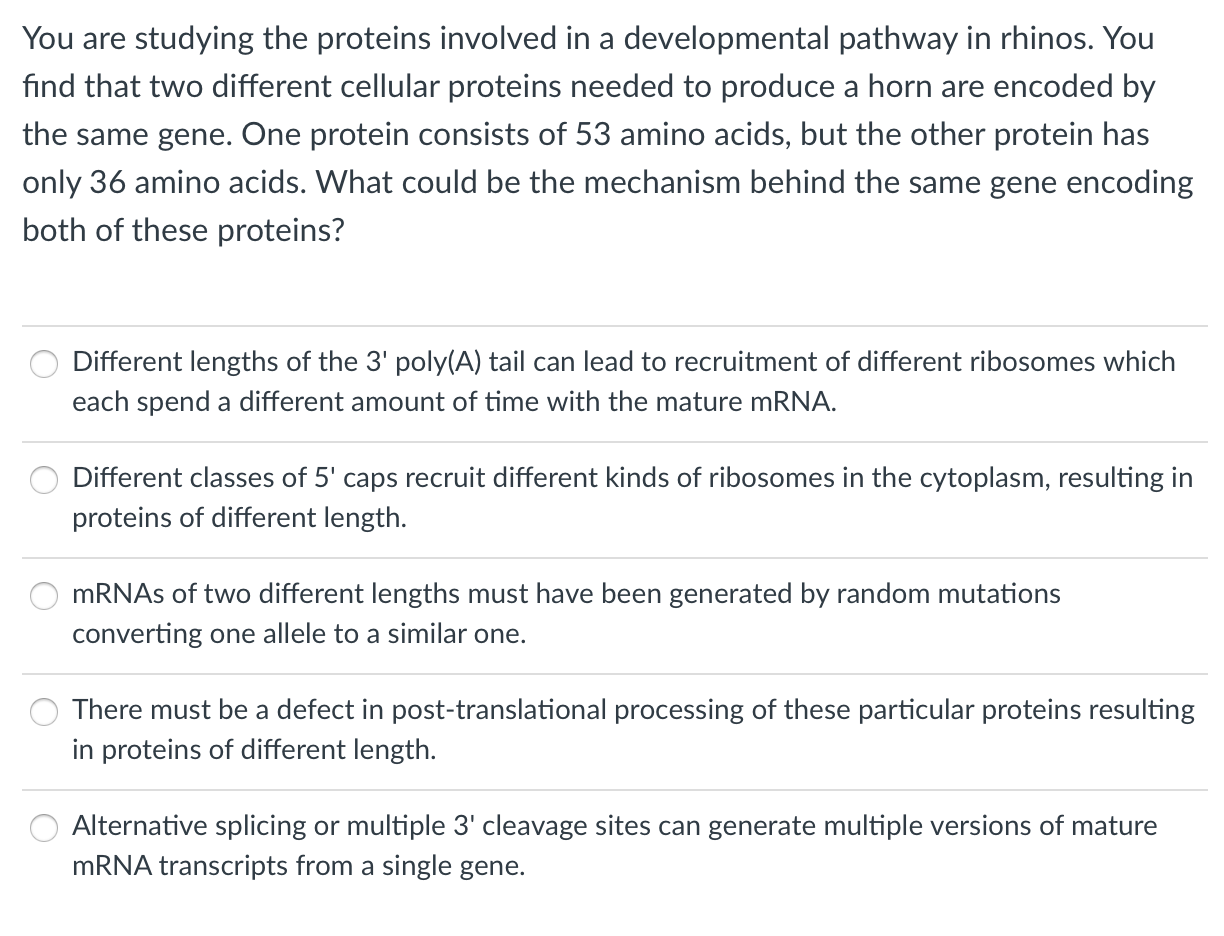 Solved You are studying the proteins involved in a | Chegg.com