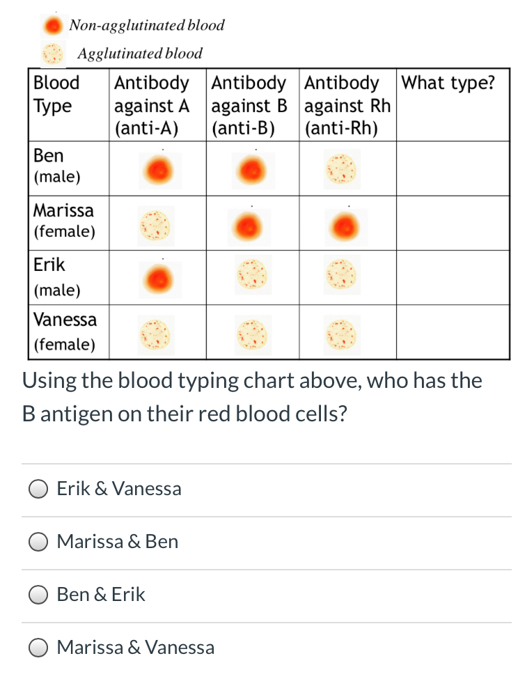 3 4 Using The Blood Typing Chart Above Who S Chegg Com