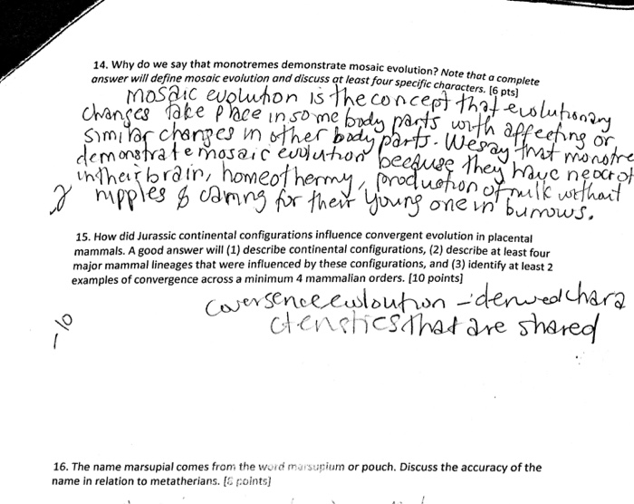 Solved onstrate mosaic evolution? Note that a complete 14.