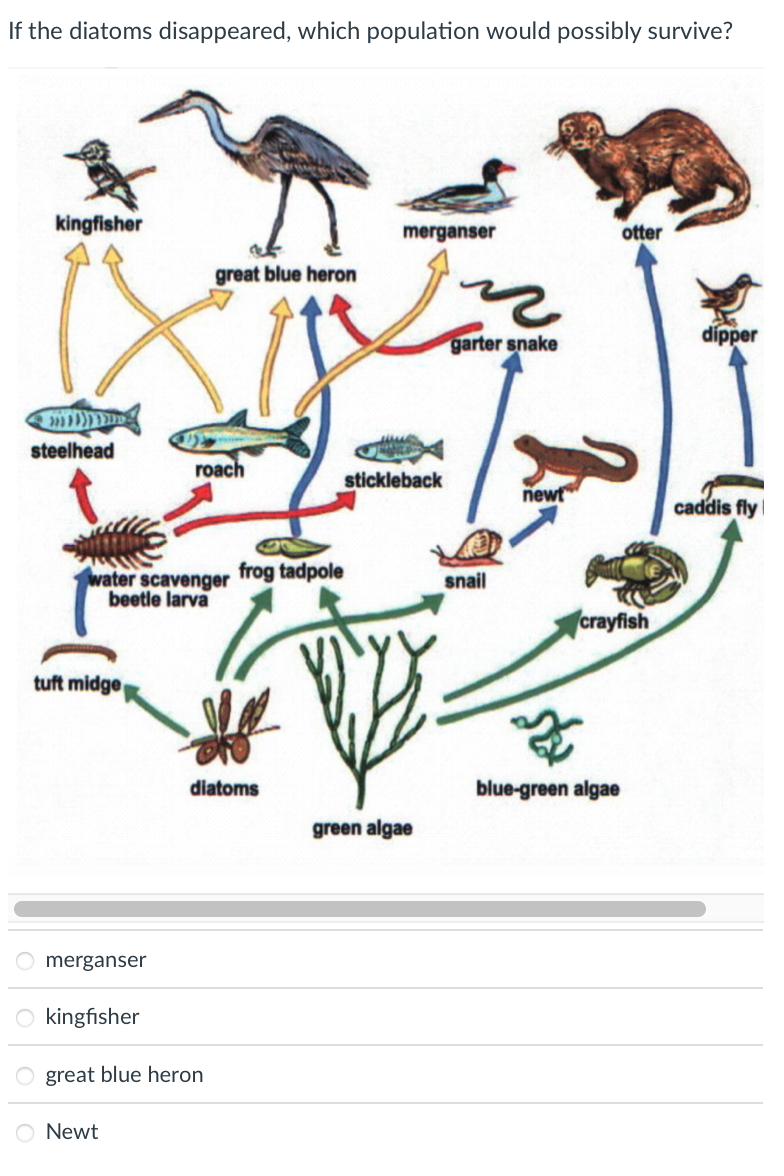 Solved Which of these organisms could NOT be classified as a 