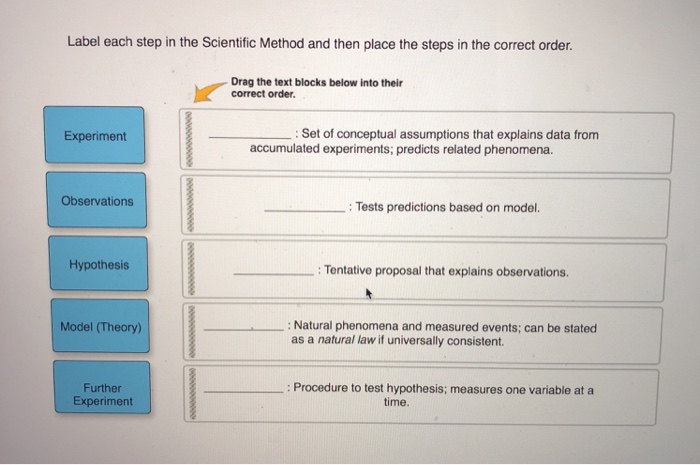 solved-label-each-step-in-the-scientific-method-and-then-chegg