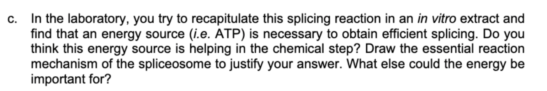 Cracking The Code How Pre Mrna Starts Protein Production - zjlj4hf