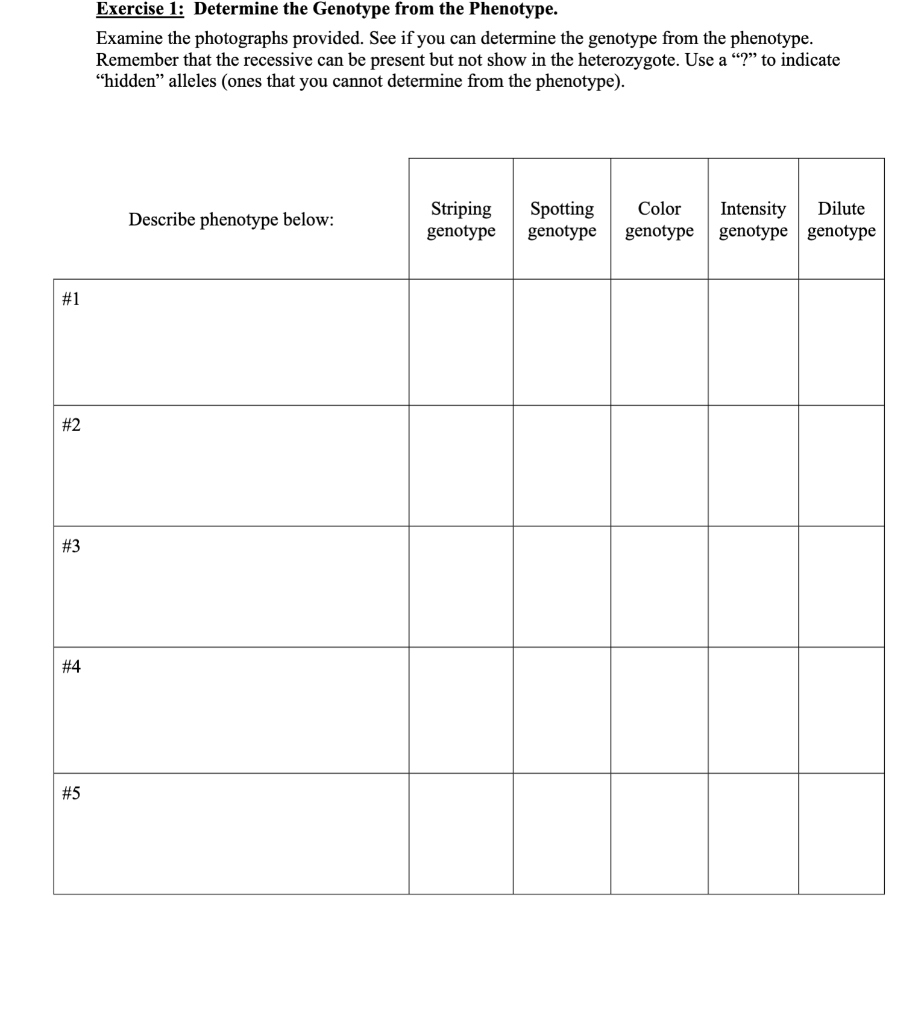 Coat Color in Domestic Cats Domestic cats have been