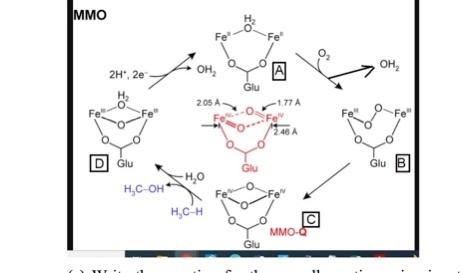 Solved A mechanism for the enzyme methane monooxygenase is