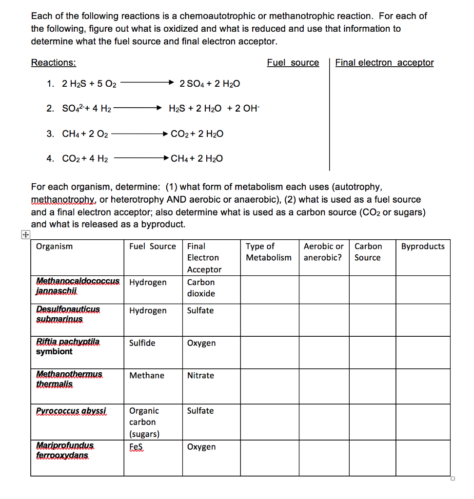 Solved Each of the following reactions is a chemoautotrophic | Chegg.com