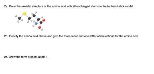 Solved 2a. Draw the skeletal structure of the amino acid | Chegg.com