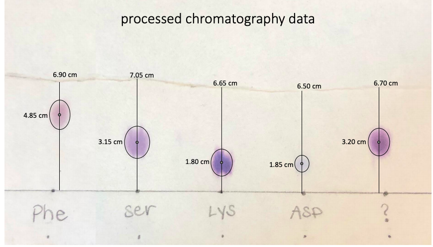Solved How do I solve the chart using the processed | Chegg.com