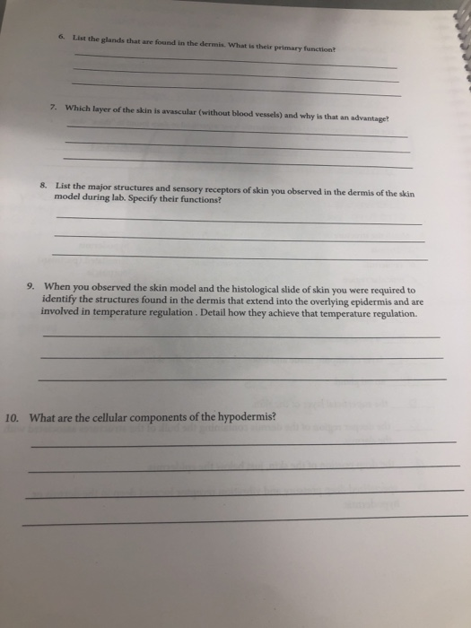 Solved 6 List The Glands That Are Found In The Dermis. What 