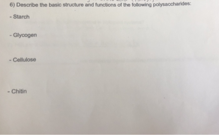Solved 6) Describe the basic structure and functions of the | Chegg.com
