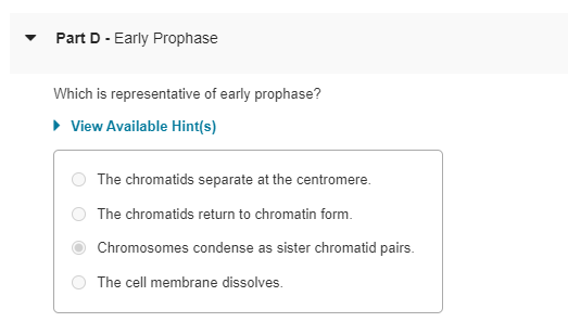 Solved Part D - ๏ปฟEarly ProphaseWhich is representative of Biology Diagrams