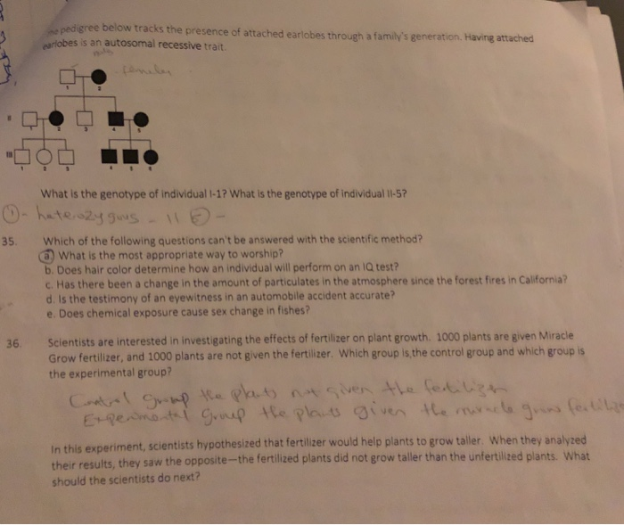 Solved e pedigree below tracks the presence of attached | Chegg.com