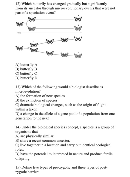 Solved 1) Speciation, or the formation of new species, is A)