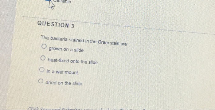 Solved batranin QUESTION 3 The bacteria stained in the Gram | Chegg.com