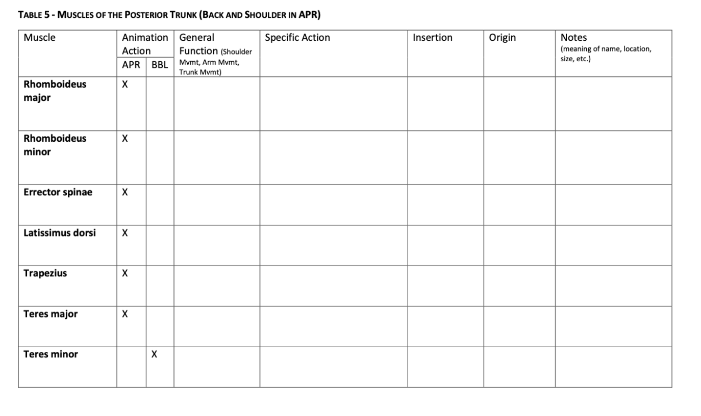 Solved TABLE 5 - MUSCLES OF THE POSTERIOR TRUNK (BACK AND 
