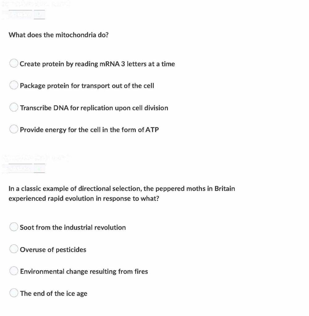 Solved What does the mitochondria do? Create protein by | Chegg.com