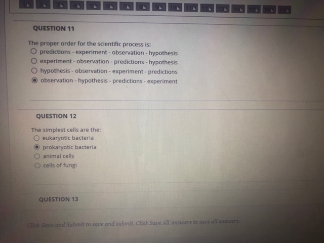 Solved QUESTION 11 The proper order for the scientific | Chegg.com