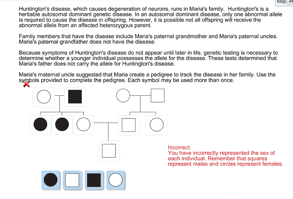 Solved Map Huntingtons Disease Which Causes Degeneration 0991