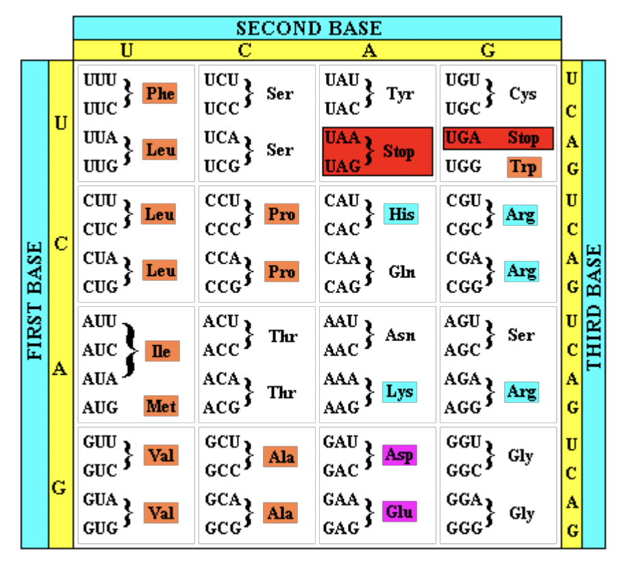 Solved Section I. Complete the following Table, assuming | Chegg.com