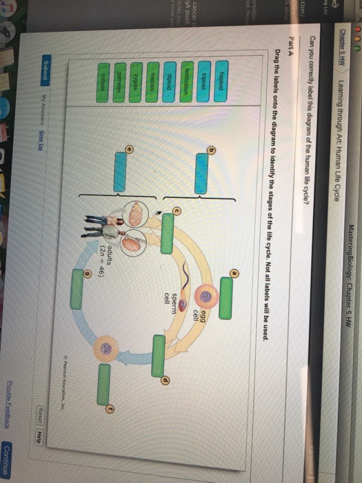 Biology Archive | July 23, 2017 | Chegg.com
