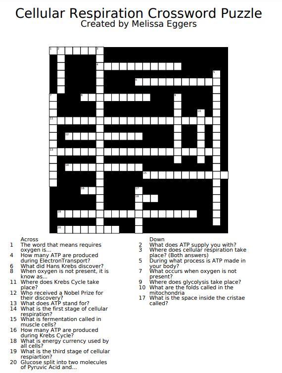 Solved Cellular Respiration Crossword Puzzle Created By Chegg