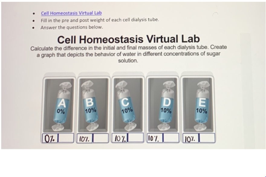 Solved . Cell Homeostasis Virtual Lab Fill in the pre and | Chegg.com