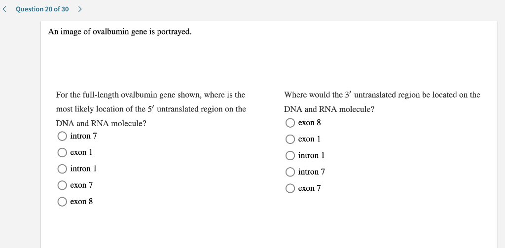 < Question 20 of 30 >
An image of ovalbumin gene is portrayed.
For the full-length ovalbumin gene shown, where is the
most li