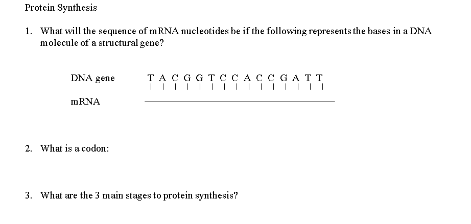 Solved 1. What will the sequence of mRNA nucleotides be if | Chegg.com