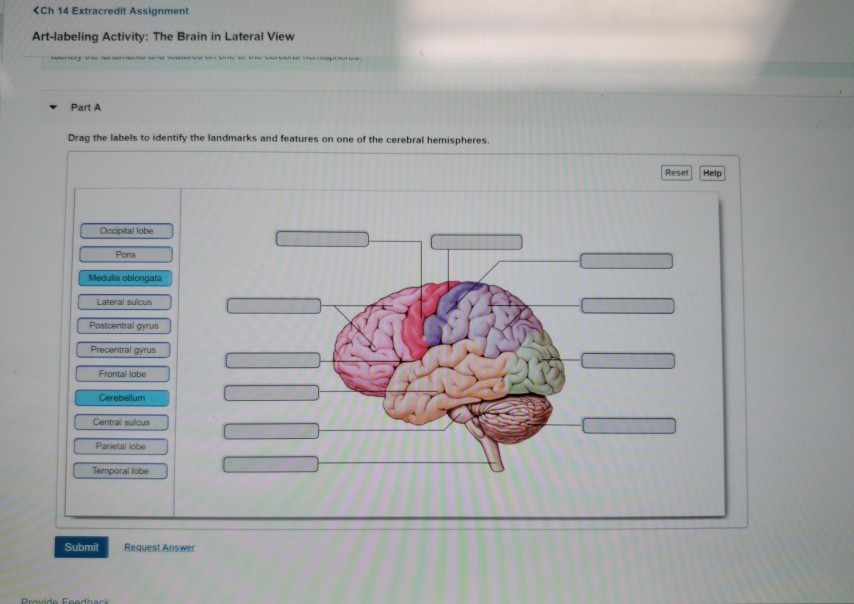 Solved Question Chegg Com