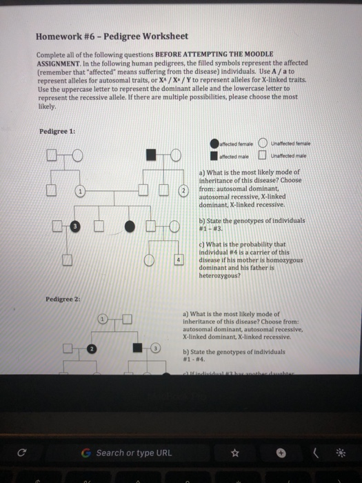 Solved: Homework #6-Pedigree Worksheet Complete All Of The... | Chegg.com