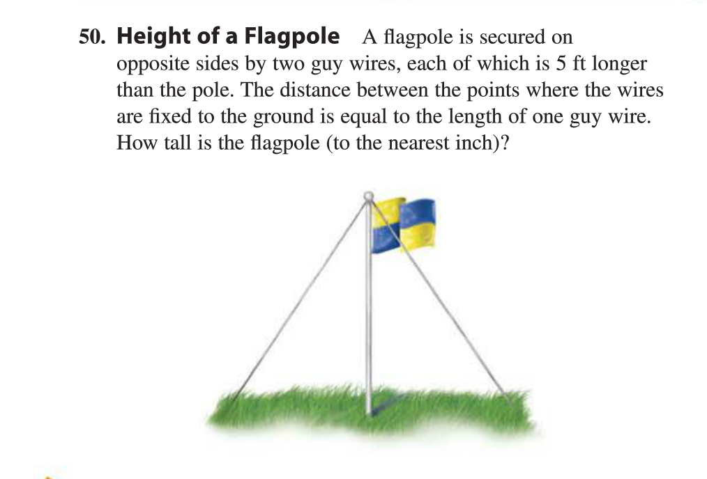 flag pole guy