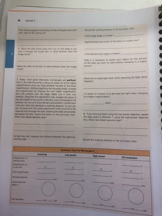 Summary Chart For Microscope Answers A Visual Reference of Charts