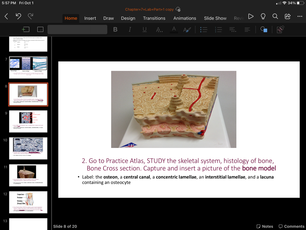 Solved 5:57 PM Fri Oct 1 34%