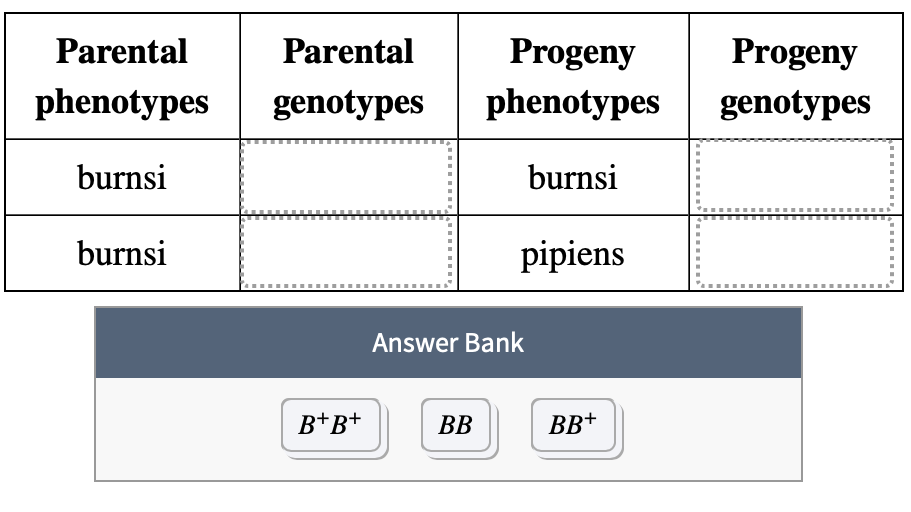 Solved J. A. Moore investigated the inheritance of spotting | Chegg.com