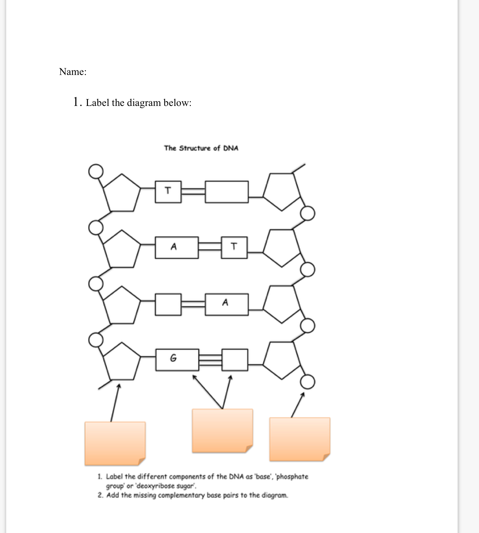 Solved Name:Label the diagram below:The Structure of | Chegg.com