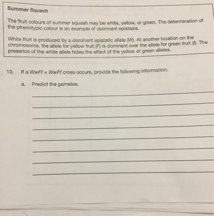 Solved Summer Squash The fruit colours of summer squash may | Chegg.com