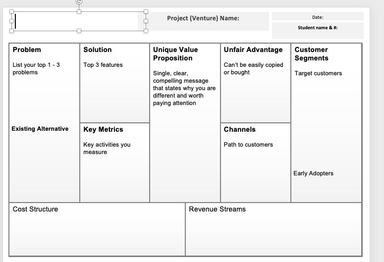 Solved Please make lean canvas on new venture do not copy | Chegg.com