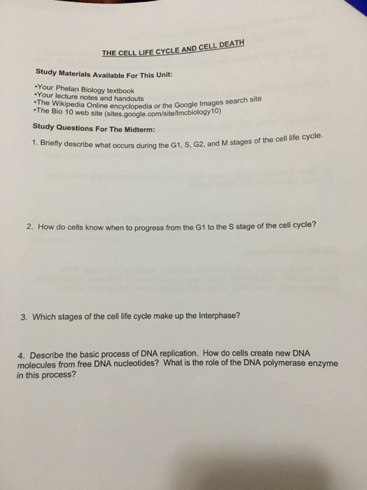 Solved 1. What is the basic structure of all proteins? 2. at | Chegg.com