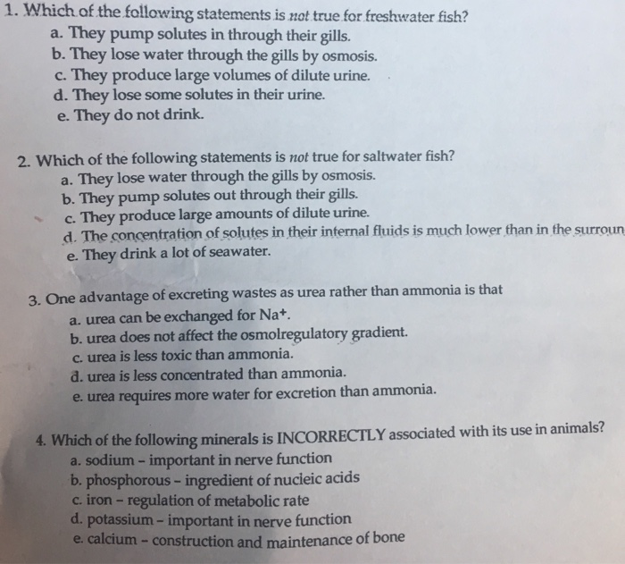 Which Of The Following Statements About Osmosis Is False