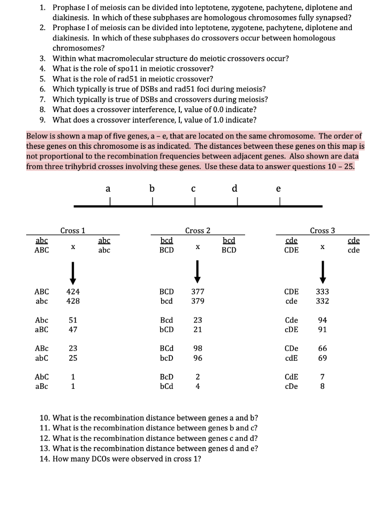 Solved 1. Prophase I of meiosis can be divided into | Chegg.com