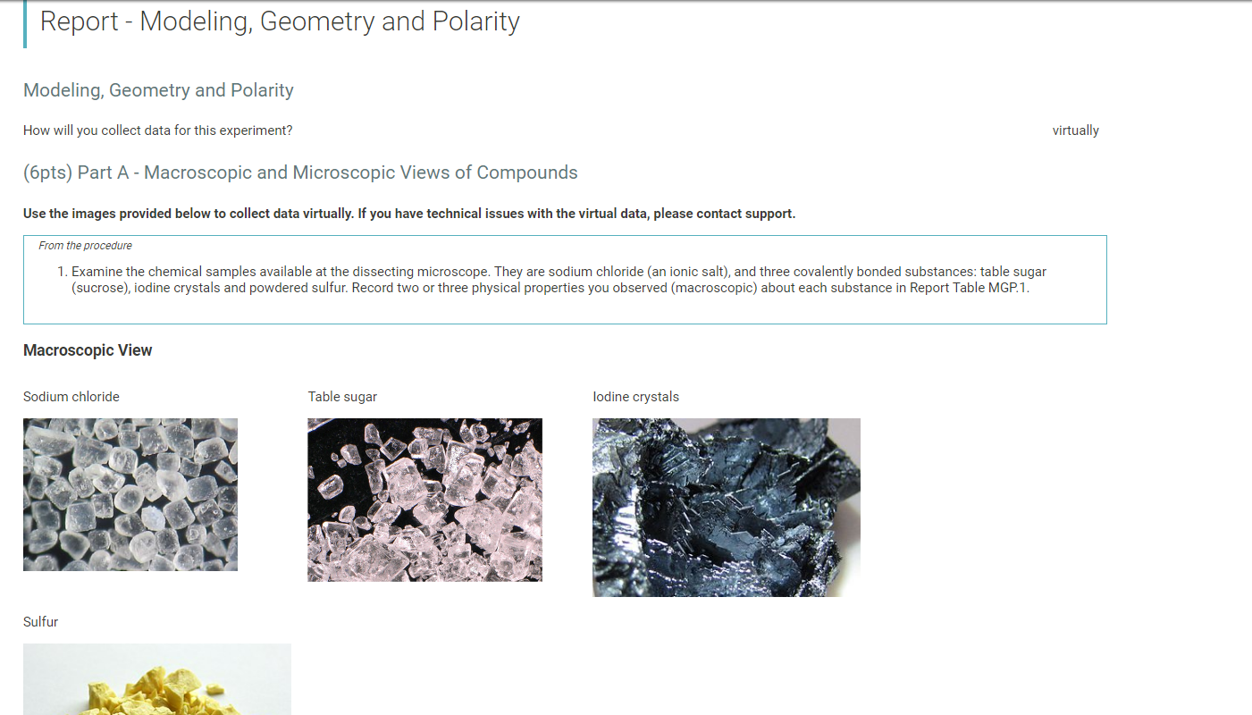 Solved Report Modeling, Geometry and Polarity Modeling,