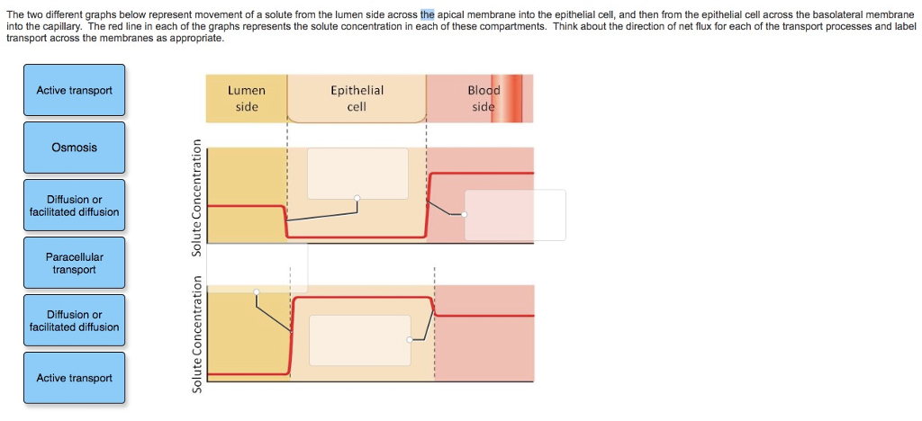 Solved The two different graphs below represent movement of | Chegg.com