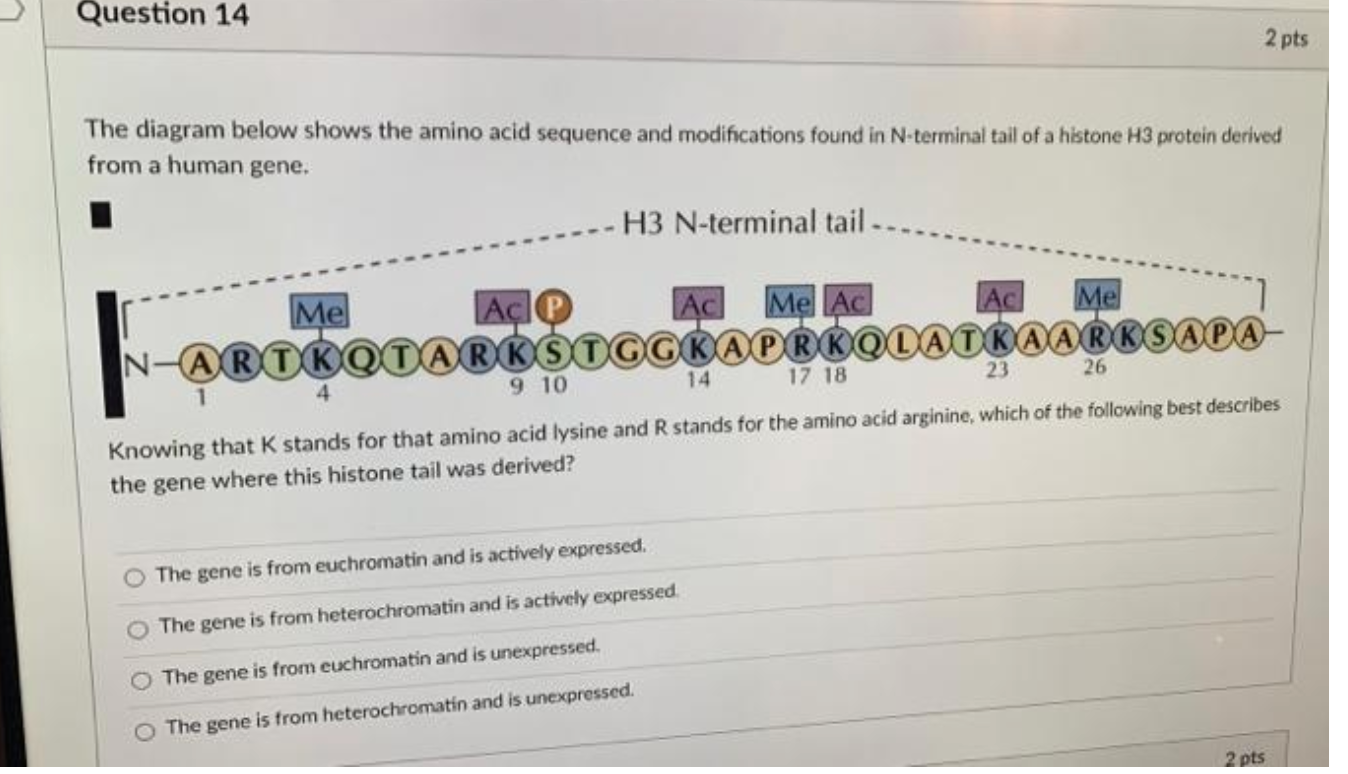 Solved The diagram below shows the amino acid sequence | Chegg.com