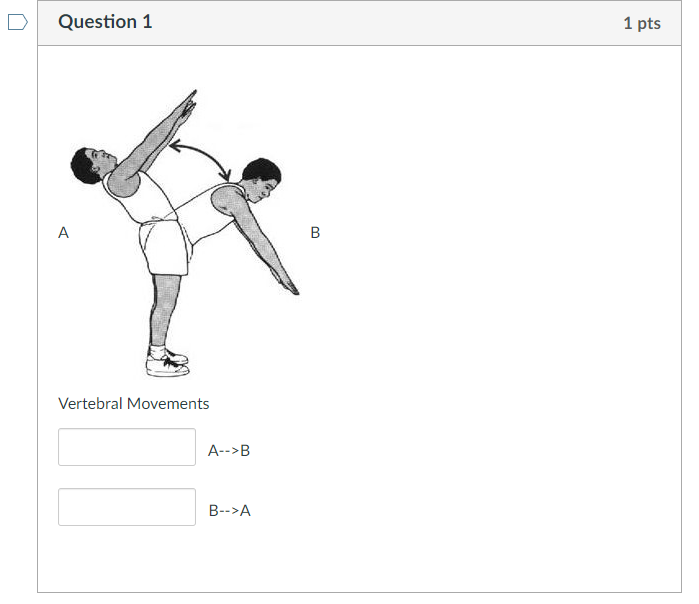 Solved Question 1 1 Pts A B Vertebral Movements A-->B B-->A | Chegg.com