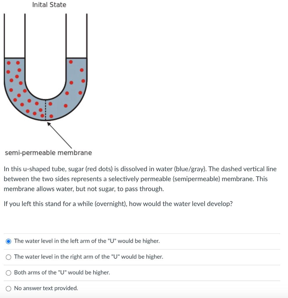 Solved Inital State U semipermeable membrane In this