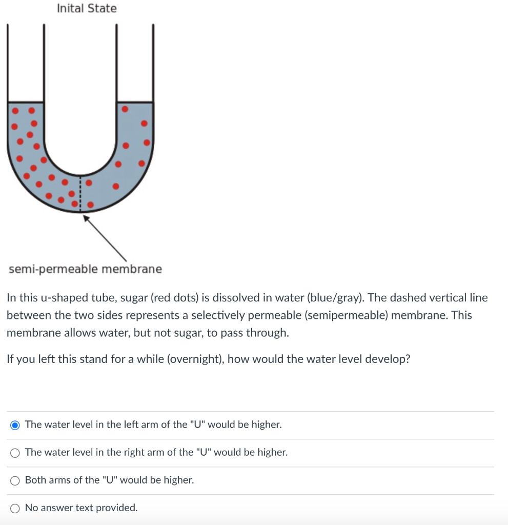 solved-inital-state-u-semi-permeable-membrane-in-this-chegg