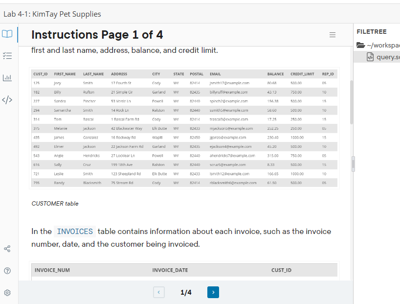 Solved Database Model KimTay The management of KimTay Pet