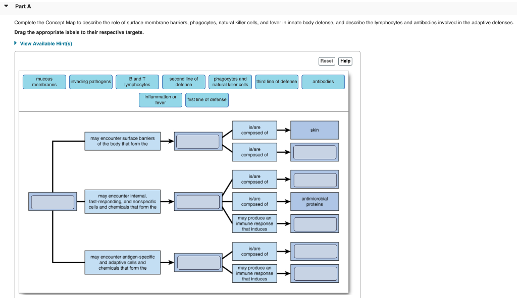 Immune System Concept Map Answers | Current Red Tide Florida Map