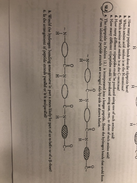 1l-a-how-many-peptide-bonds-does-the-tripeptide-have-chegg