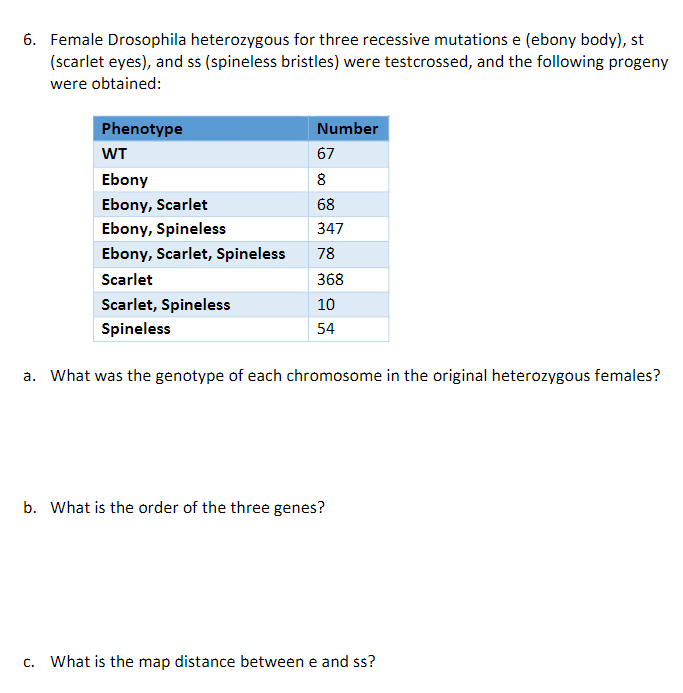 Solved 6. Female Drosophila Heterozygous For Three Recessive | Chegg.com